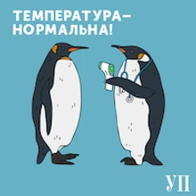 Температура - нормальна!