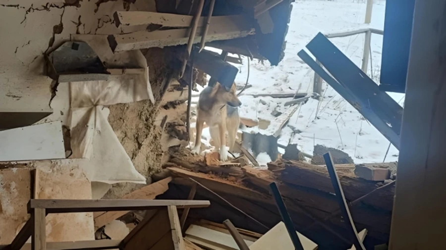 He didn't want to leave: Russian strike kills last resident of village in Sumy Oblast – photo