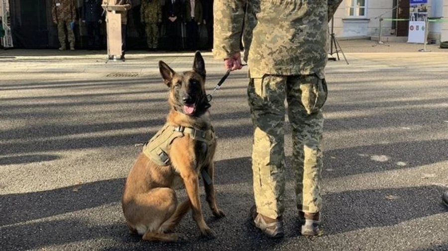 EU sends more mine detection dogs to Ukraine