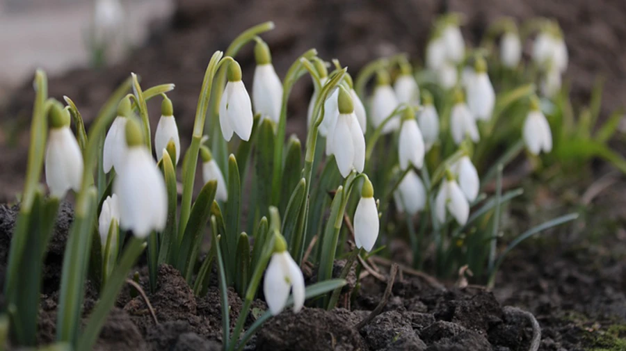 Відчутне потепління прийде з наступного тижня – синоптик
