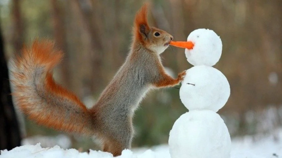 Синоптик сообщила, когда морозы отступят