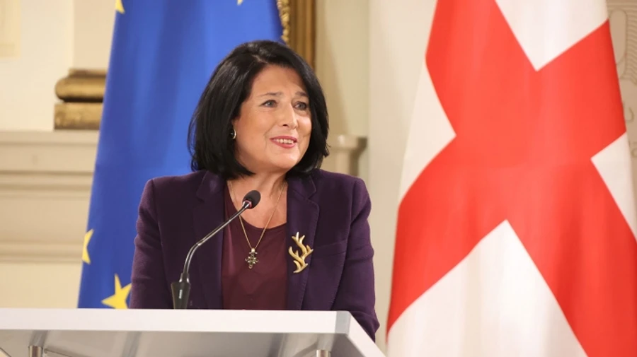 Литва готова предоставить убежище президенту Грузии