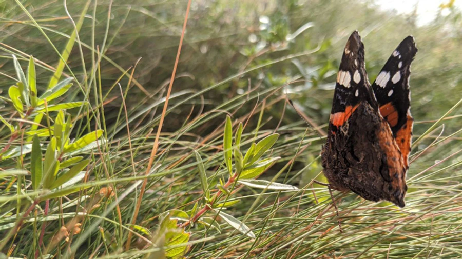 У погоды флегматичные периоды: в Украину идут дожди