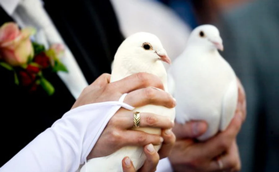 Нотаріуси отримають право реєструвати шлюби і розлучення