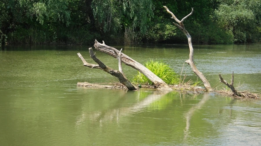 Пограничники задержали спайдермена в Одесской области