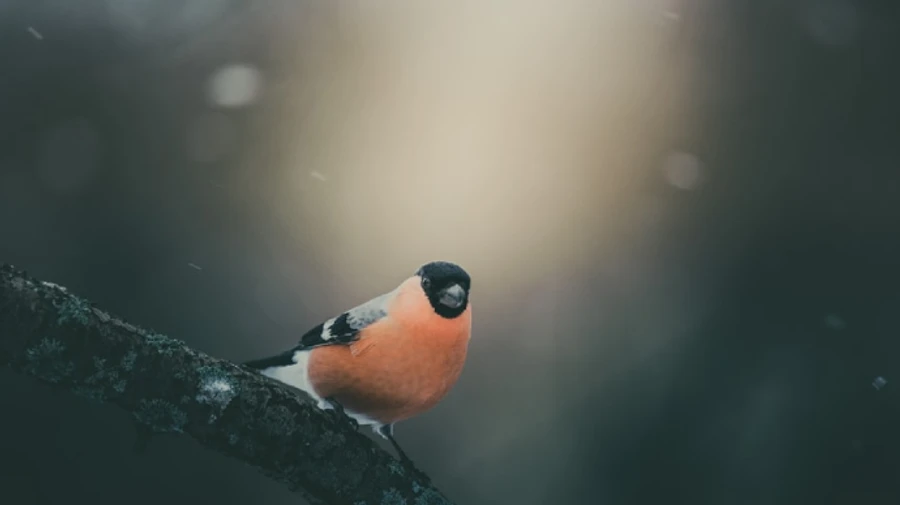 Синоптик попереджає про серйозне похолодання