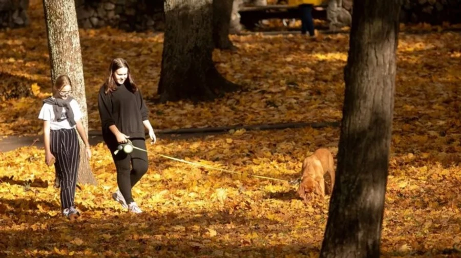 Погода в Україні: найближчими днями – майже по-літньому тепло