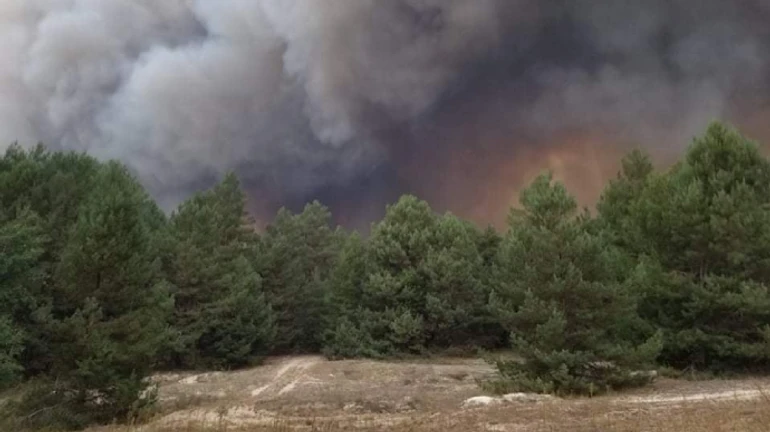 Военный полигон горит на Киевщине