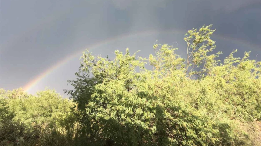 На Україну з заходу суне атмосферний фронт