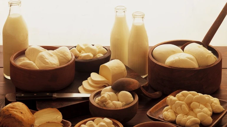 За год Украина нарастила выручку от экспорта молочных продуктов более чем на 50%