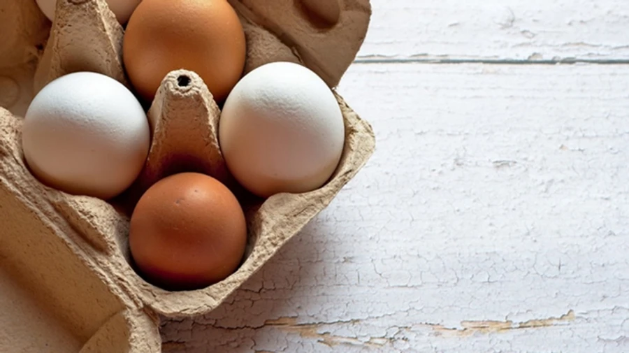 В Болгарии просят запретить импорт яиц из Украины 