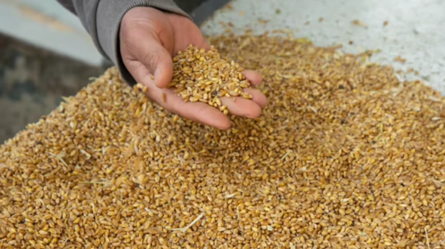 Украина просит ЕС субсидировать перевозку агропродукции в дальние европейские порты