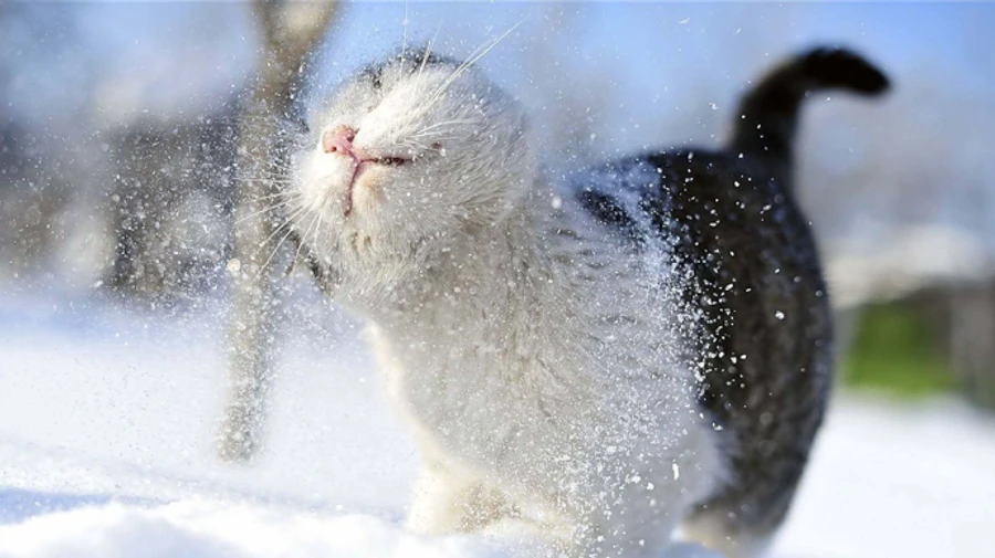 Грудень цього року буде теплішим, ніж зазвичай