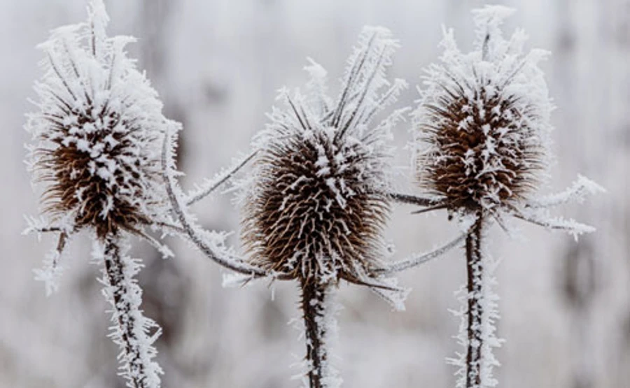 Украину продолжит охватывать холодный воздух, местами гололедица