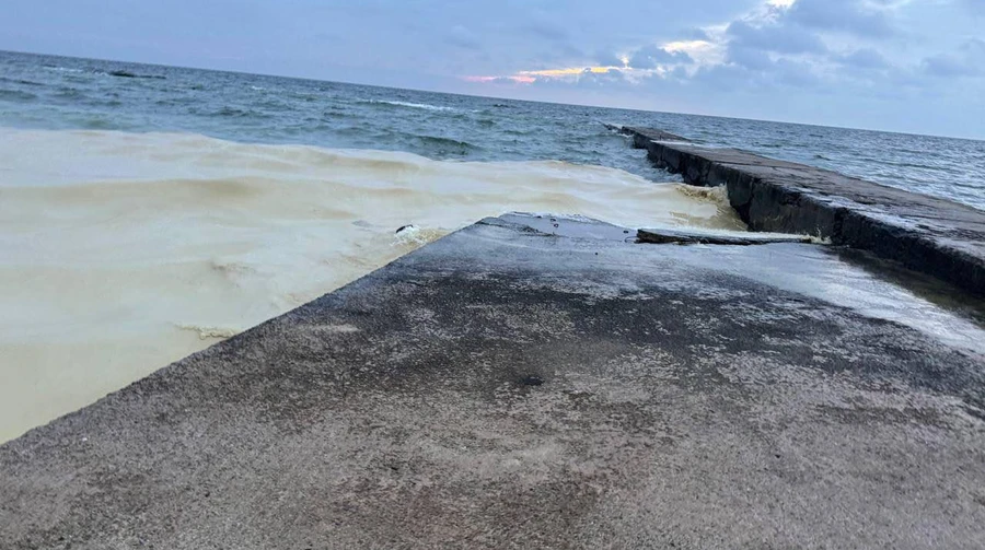 Vegetable oil spills and dead birds found on Odesa beaches after Russian attack