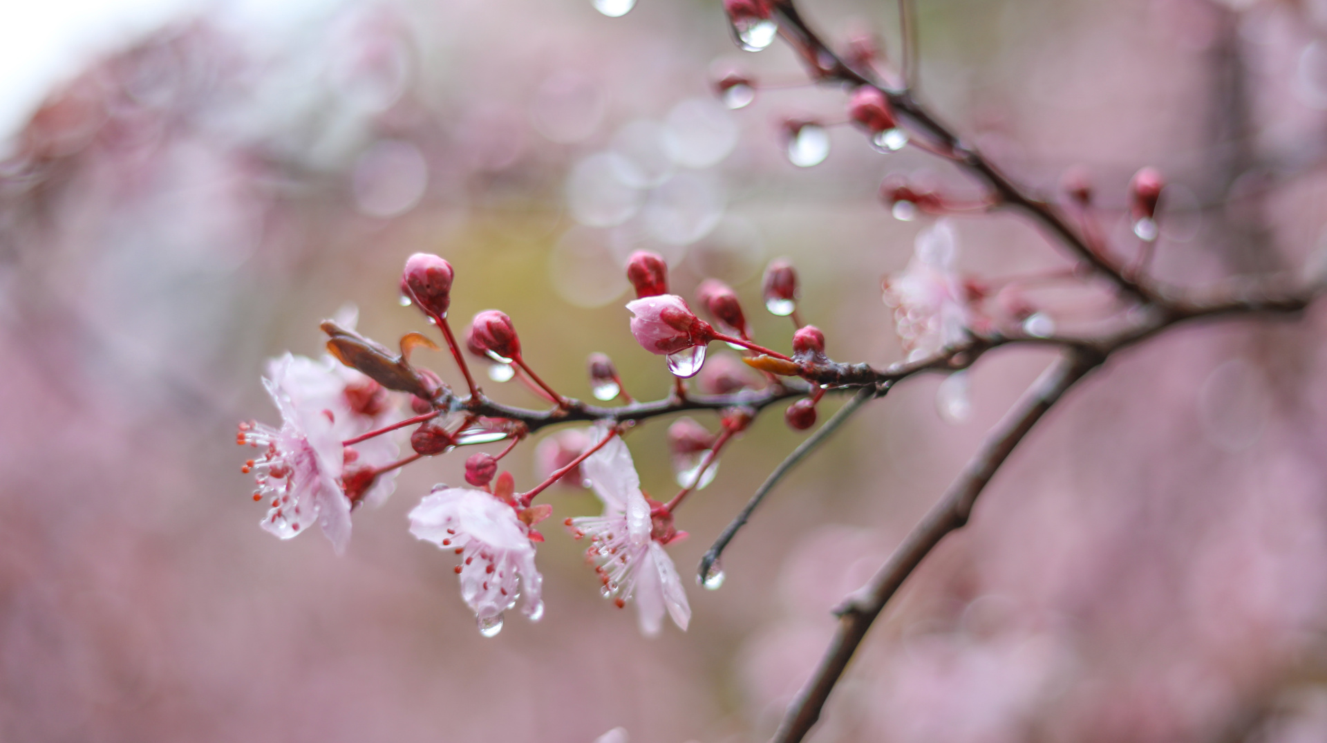 По всій країні дощитиме, але буде тепло