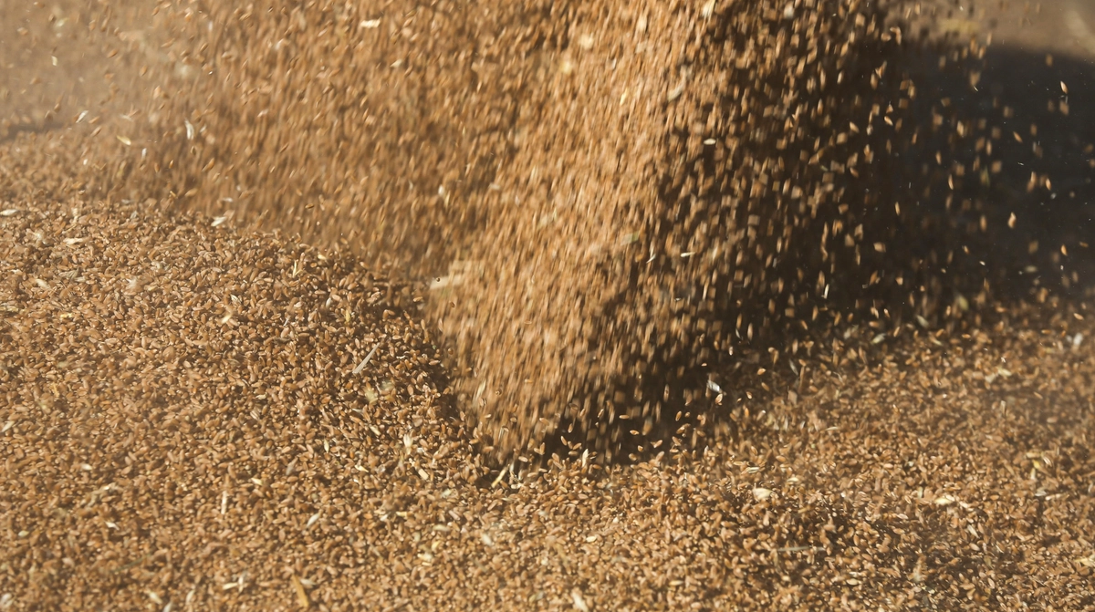 Єврокомісія звернулась до Ізраїлю щодо судна з краденим українським зерном