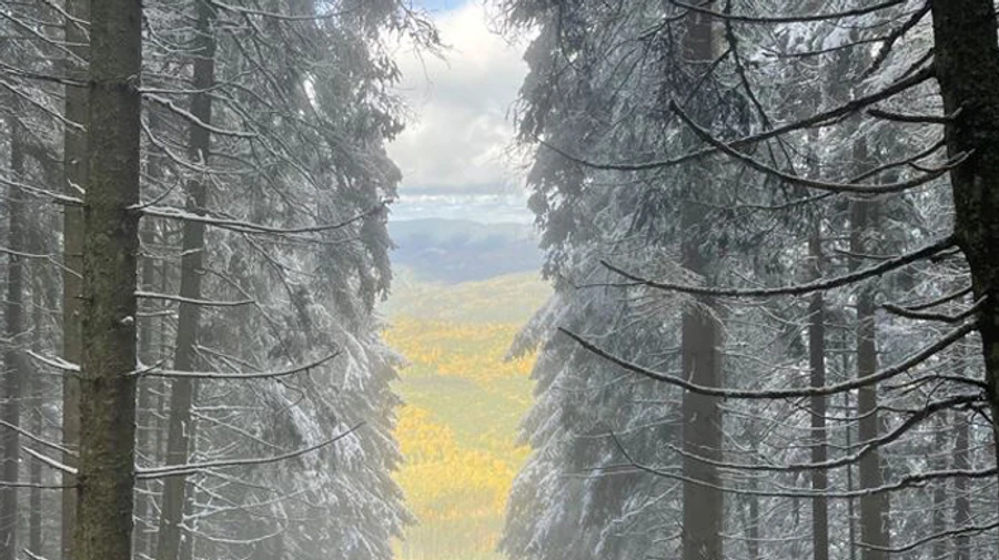 В Україну прийде короткочасне, але відчутне тепло