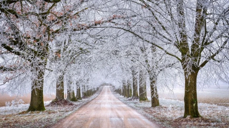 В Україну йде антициклон Інго