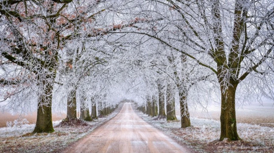 В Україну йде антициклон Інго