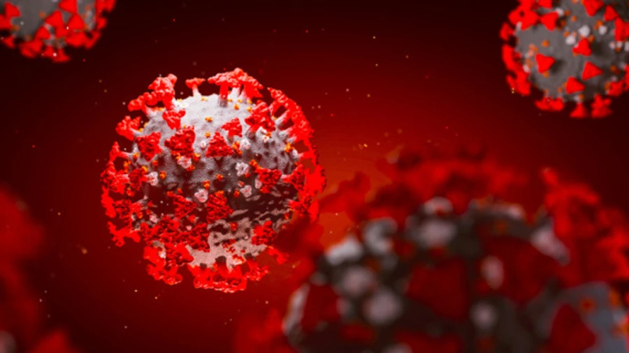 Во Франции обнаружили заражения редким штаммом коронавируса с новой мутацией