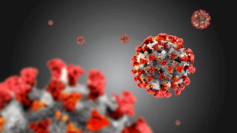 Україна опинилася на 7 місці у світі за смертністю від COVID-19