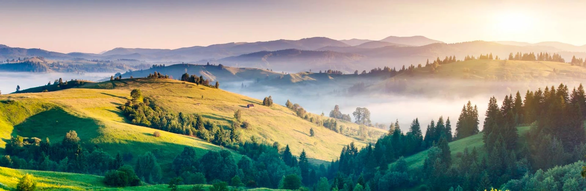 Рецепт українського щастя