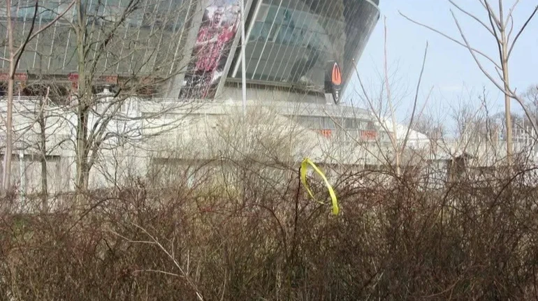 Розслідування: Жовта стрічка не несе відповідальність за безпеку активістів, втім щедро фінансується Заходом