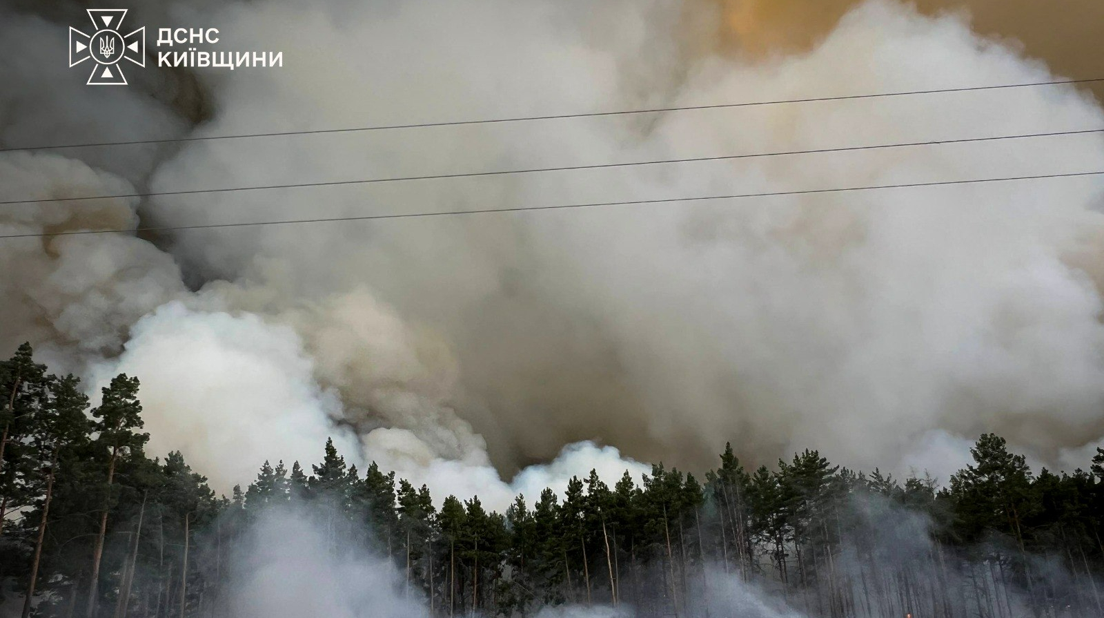 На Київщині вирує лісова пожежа: розтягнулась на кілька кілометрів