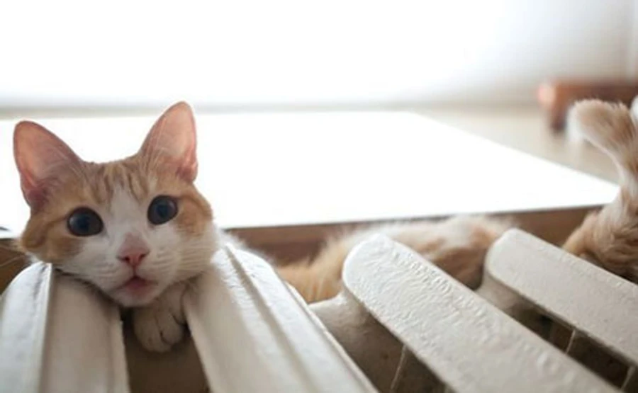 У Києві за 3 дні почнуть вимикати опалення