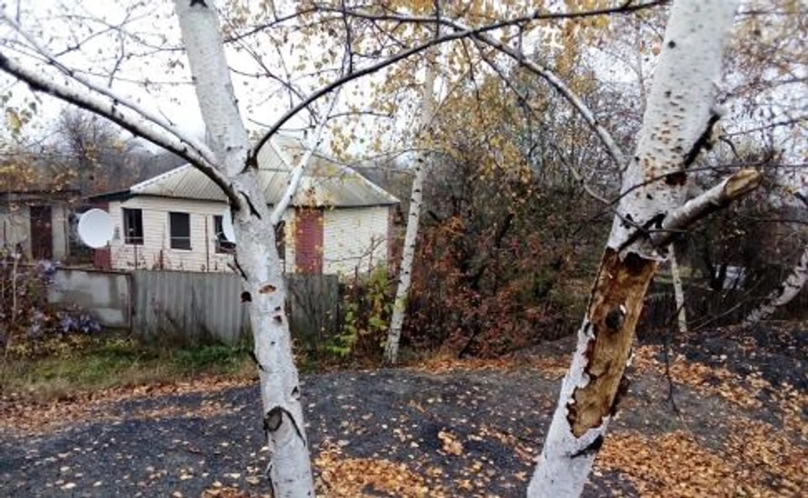 Накануне начала разведения по Золотому-4 стреляли – СЦКК