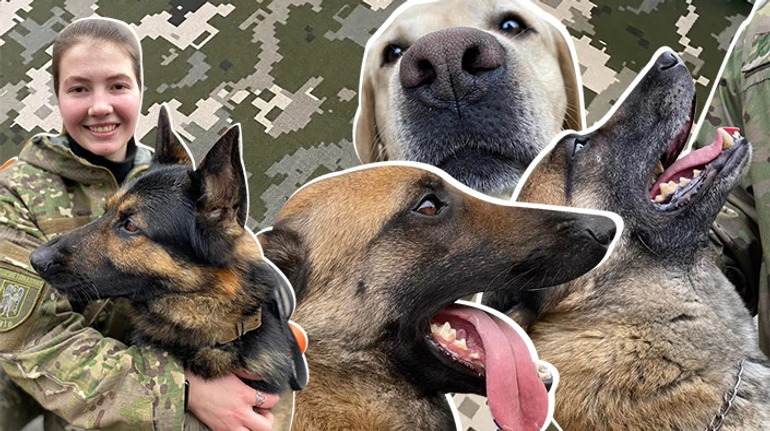 Ні, собак не годують наркотиками. Як кінологи та чотирилапі працівники Нацполіції рятують світ
