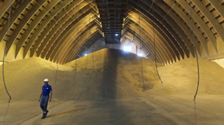 Цьогорічний врожай в Україні перевищує очікування, але радіти зарано. Чому?