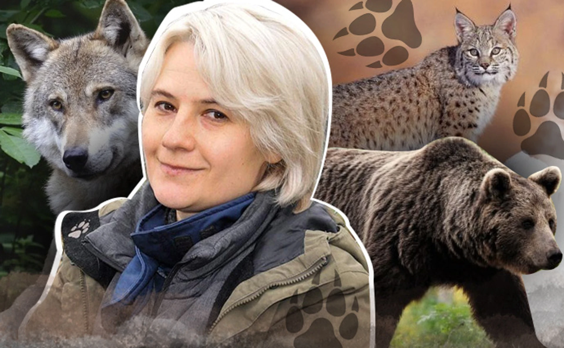 Действительно ли на Полесье возвращается самый большой хищник Европы и как волки и рыси переживают войну