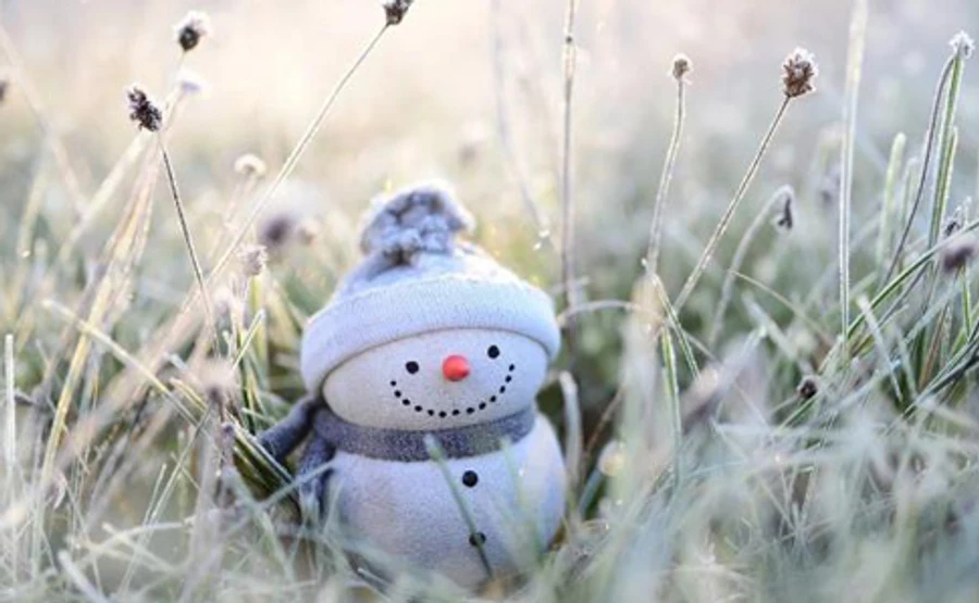 В Украине сохранится аномальное январское тепло