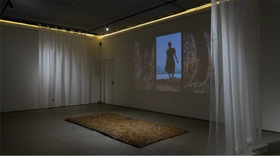 Exhibition about grain destroyed by Russians opens simultaneously in UK and Zaporizhzhia