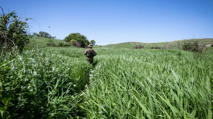Боевики третий день не дают Украине искать раненого бойца на Донбассе