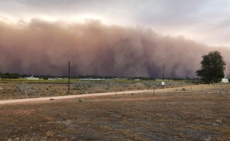 Такой пылевой бури в Киеве не было уже несколько десятилетий – ДСНС
