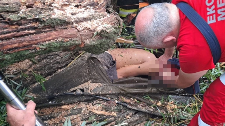 На Одещині дерево упало на намет з підлітками: 1 загиблий і 4 постраждалих