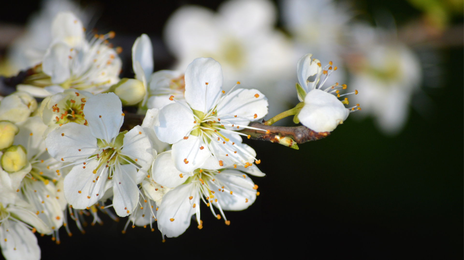 Синоптики розповіли, коли прийде потепління