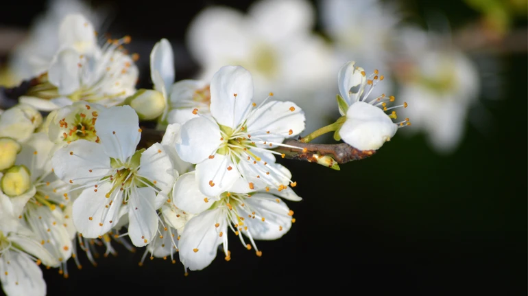 Синоптики розповіли, коли прийде потепління