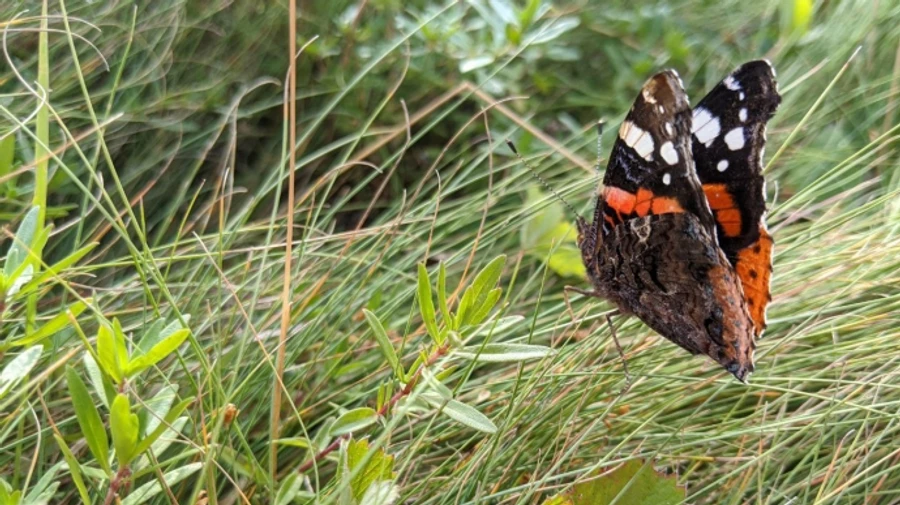 То жара, то похолодание и грозы: синоптик дала прогноз на ближайшие дни