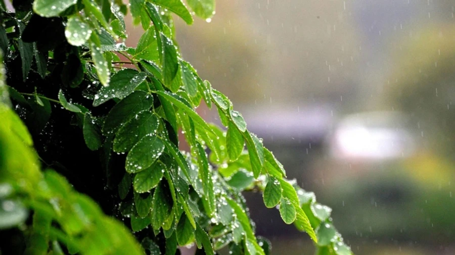 Частину України заллє дощами, але буде тепло 