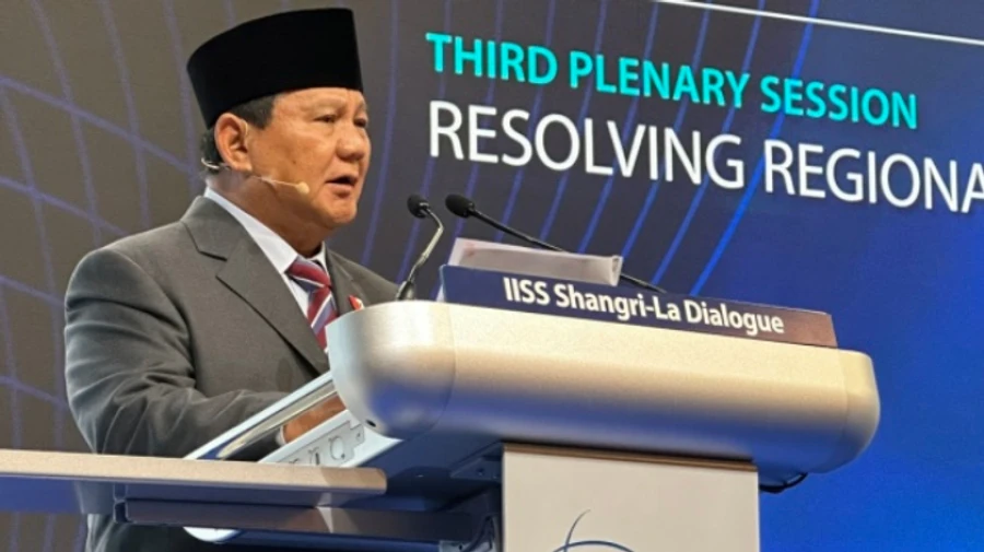 В Индонезии предлагают провести референдумы на оккупированных Россией территориях. В МИД ответили