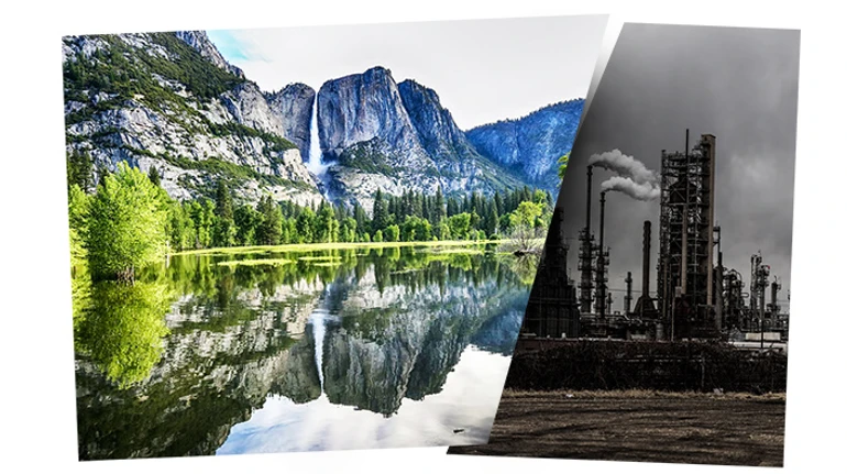 Сохраненный рай. Зачем мир решил превратить треть планеты в заповедники