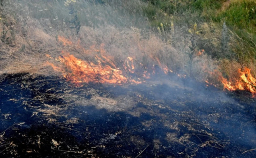 У зоні ООС загасили масштабну пожежу - підозрюють диверсію