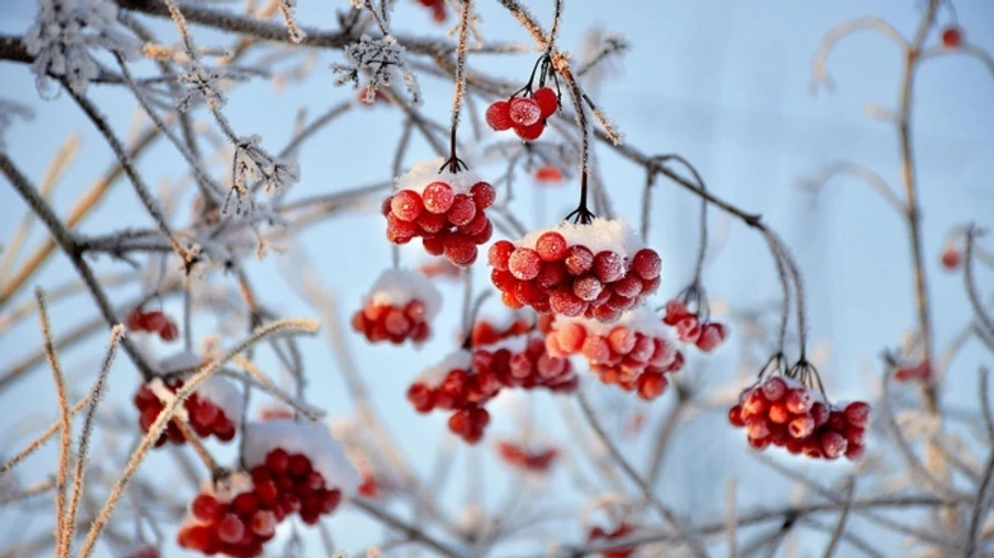 В Украине в ближайшие дни будет морозец, но преимущественно без осадков