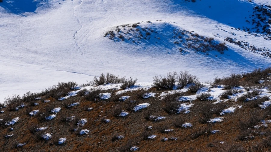 У найближчі дні в Україні очікується сніг, ожеледиця та сильний вітер