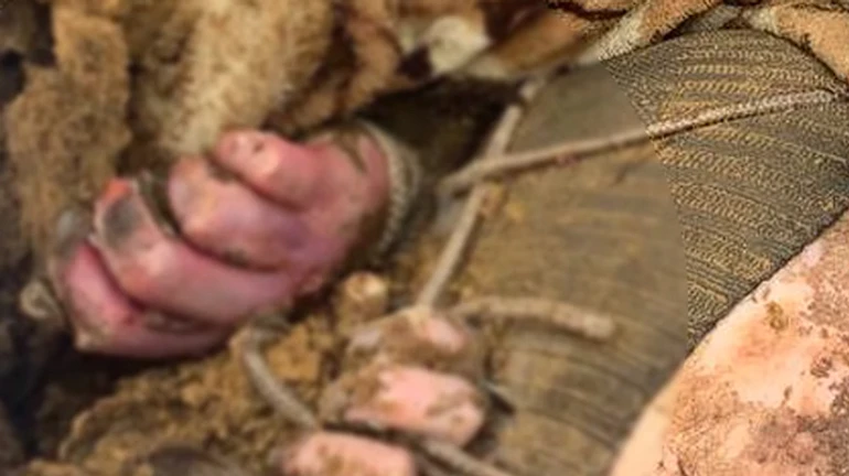 На Київщині знайшли захоронення із закатованими людьми