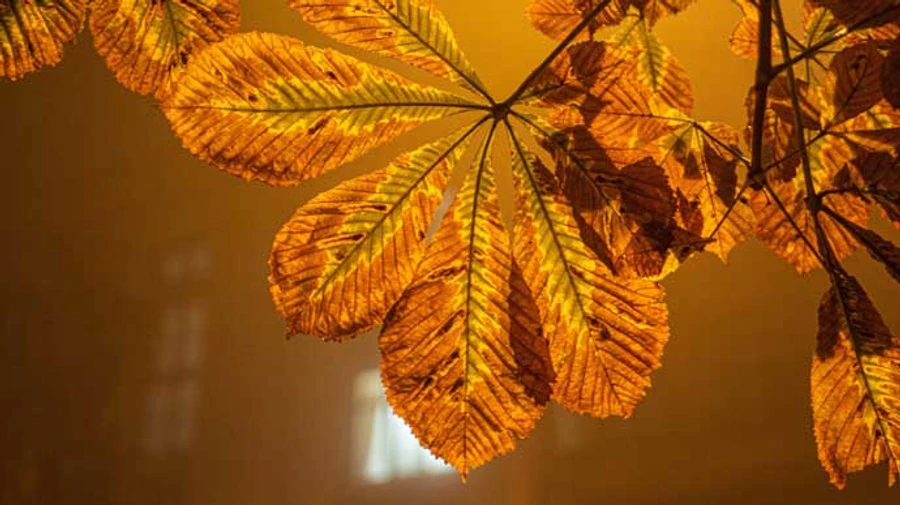 Третья ночь в Киеве бьет температурные рекорды